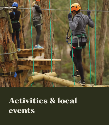 Activities & Local Events